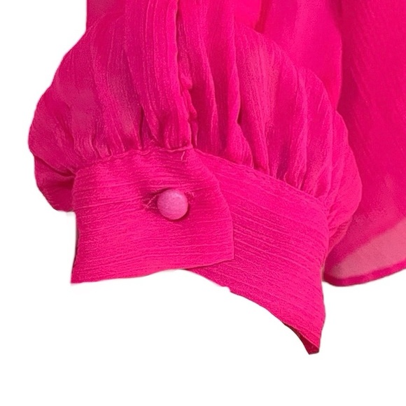 Zara Sheer Blouse - Picture 4 of 5